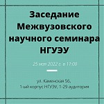 Межвузовский научный семинар НГУЭУ